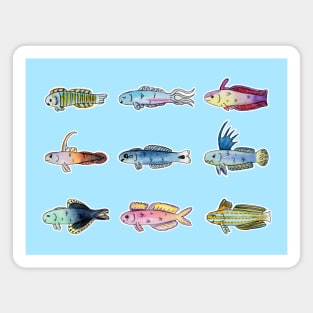 Saltwater Reef Aquarium Dartfish In Watercolor Magnet